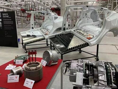 马斯克柏林宏图 网络技术开发的未来蓝图